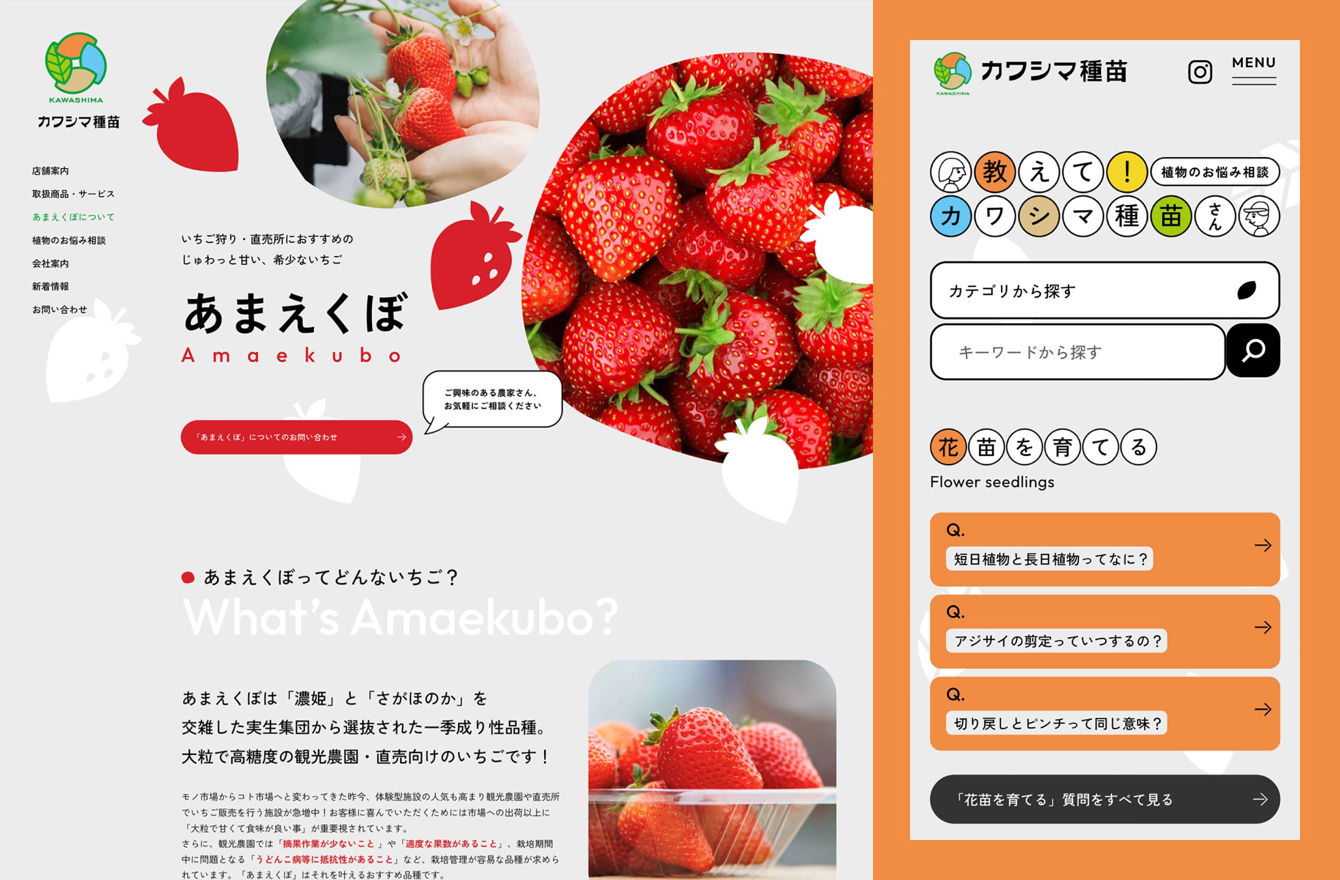 カワシマ種苗